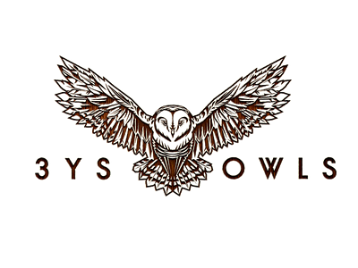 3YS Owls app branding brandmark design icon identity illustration ilustraciones logo owl vector web website