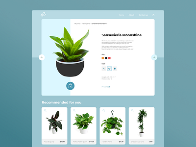 Plant shop figma shop simple ui web webdesign