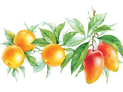 Watercolor illo for juice pack food fruit illustration juice watercolor watercolor art