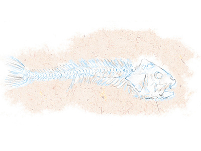 Once upon a time dead fish illustration sad sand skeleton