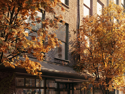 Autumn Colours 3d architectural visualization archviz cgi coronarender illustration render visualisation
