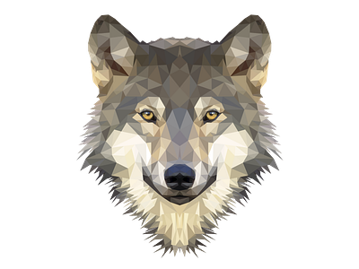 Polygon Wolf animal polygon vector wild wolf