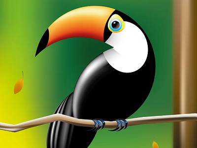 Tucán background beatiful bird black boceto color design dibujo forest green ilustraciones jungle tucán