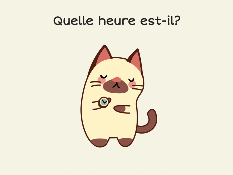 14- Jour Quatorze animation cat education french illustration