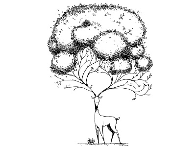Dear Deer blackwhite branches deer doodle horns illustration lineart nature