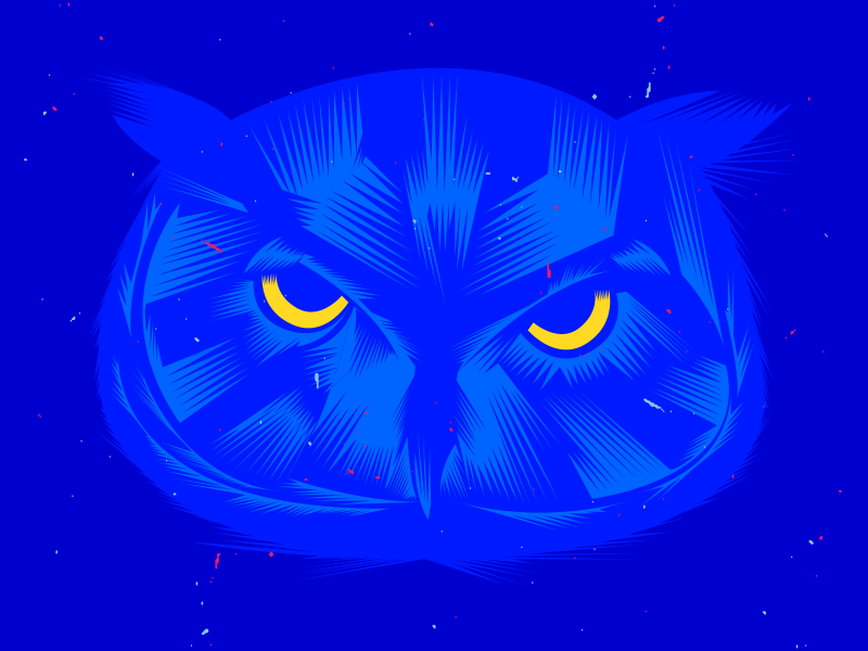 Owl Wink bird blink blue night owl wink
