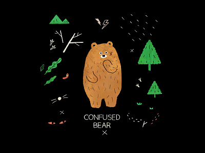 Confused Bear animal art book design drawing illustration