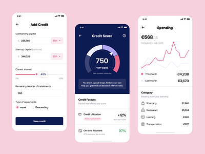 Credit Score App Design Concept