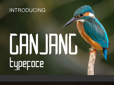 GANJANG TYPEFACE