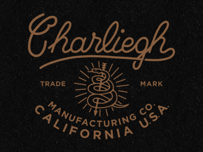 Charliegh Co. branding hand lettering hand type lettering type typography