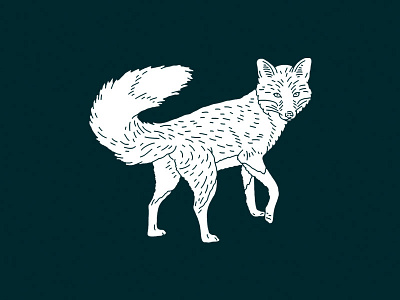 Red Fox fox illustration red fox