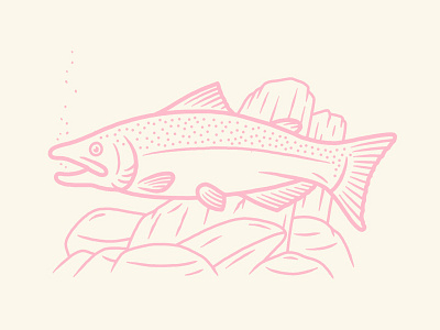 Chinook Salmon huckberry illustration salmon