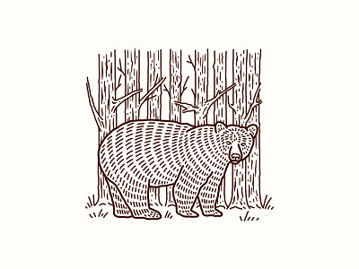 Black Bear bear black bear forest illustration