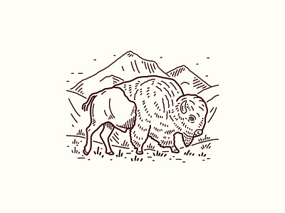 Bison bison illustration mountains