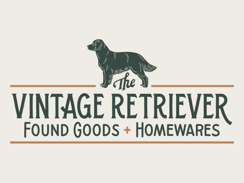 The Vintage Retriever branding dog retriever hand lettering lettering illustration