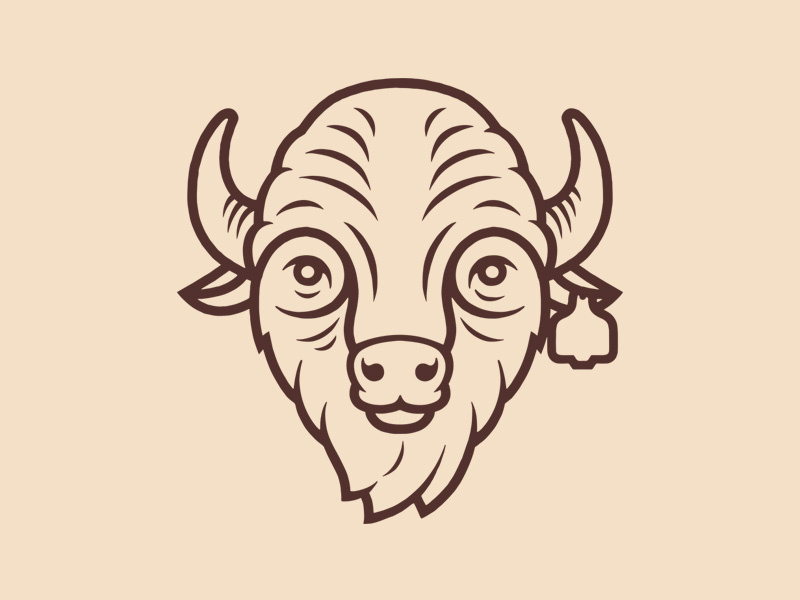 Bison buffalo bison illustration