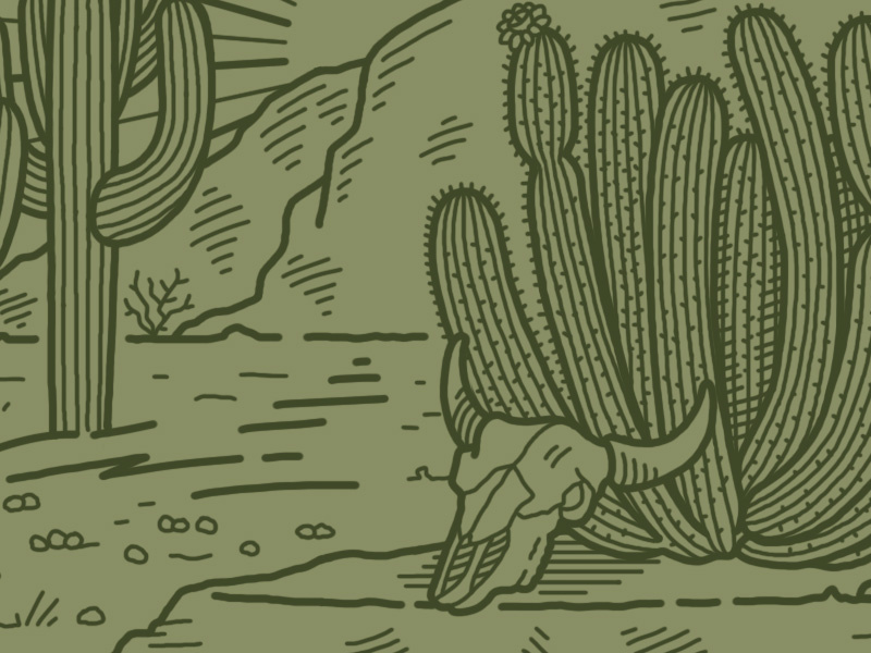 Organ Pipe organ pipe saguaro west bison desert cactus illustration