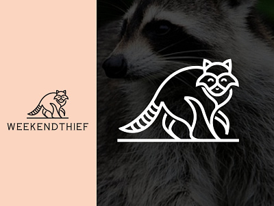 Raccoon design flat illustration logo minimal typography vector