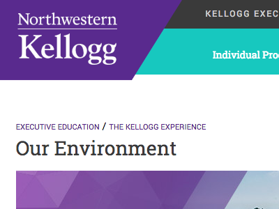 Kellogg Executive Edcation Website