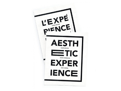 Aesthetic Experience aesthetic brochure experience print