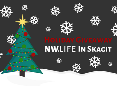 Holiday Giveaway Banner banner christmas design design giveaway holiday design holidays new year online tree vector web design