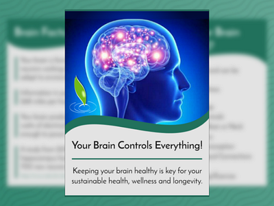 Averio Health Institute Educational Booklet: Brain