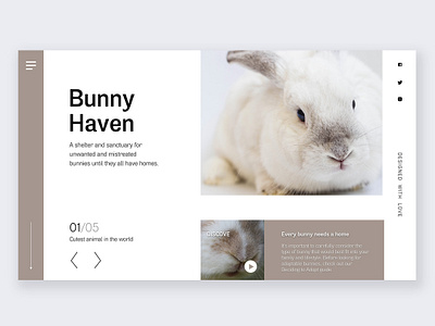 Web landing page design-bunny shelter branding design designchallenge interface design landingpage product design ui ui challange uidesign ux ux ui uxdesign web design website design