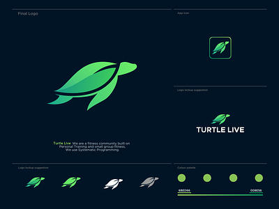 Turtle Live Logo