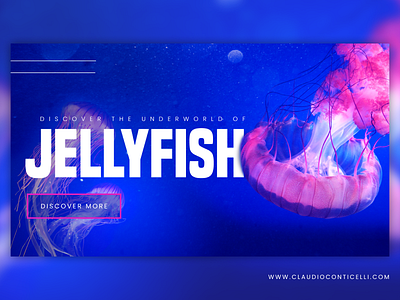 jellyfish web concept animal blue dark blue design fish fishes inspiration jelly fish jellyfish medusa ocean sea ui uidesign underwater web web design webdesign website design