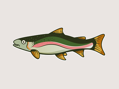 Rainbow Trout branding design fish fish logo illustration illustrator minimal nature rainbow trout texture trout ui vector