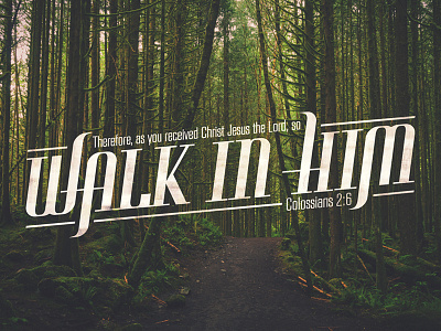 Walk in Him bible colossians forest photo trees typography verse vod