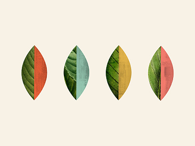 Leaf Collage