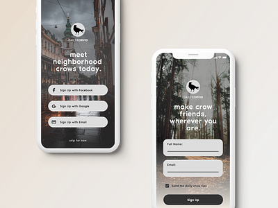 DailyCorvid // Sign Up corvid crows dailyui 001 email signup ios mobile signup signup screen ui