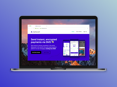 Alphacash Website - Home View uidesign