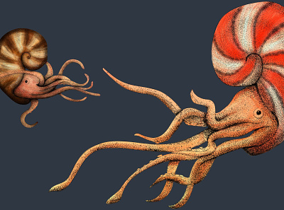 Pre-Historic Sea Creature Illustrations art drawings exhibition illustration museum ocean sea sea creatures vector
