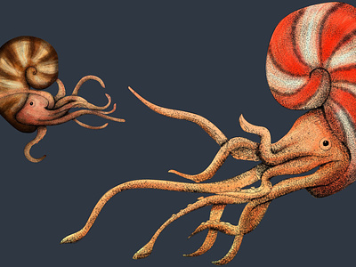 Pre-Historic Sea Creature Illustrations