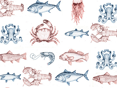 Sea Creature Pattern