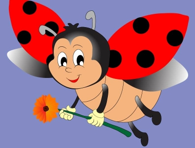 Ladybug design illustration ladybug