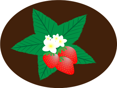 Strawberry flowers illustration strawberry strawberryflowers