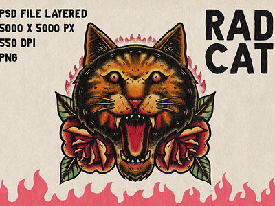 rad cat illustraton