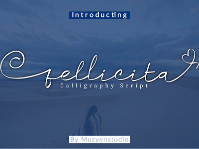 fellicita brand branding calligraphy script typography