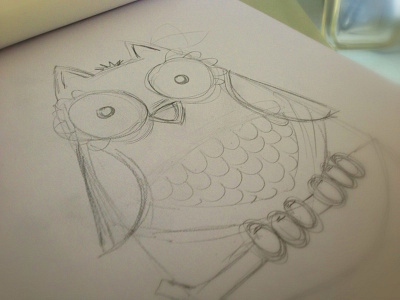 Owl illustration