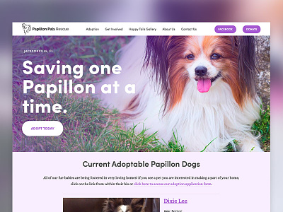 Pet Rescue Website Launched adopt dogs donation mission non profits pets