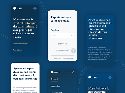 Version Mobile • Site Vitrine blue interface mobile product design text based ui ux