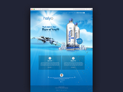 Website For Mineral Water Company app branding ui ux visual design web