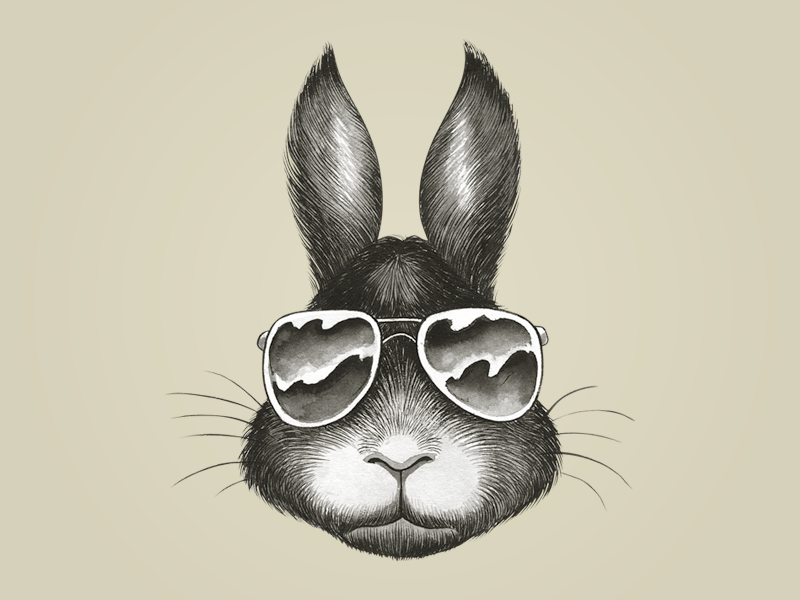 Download Cool Bunny by Richard Pessall on Dribbble
