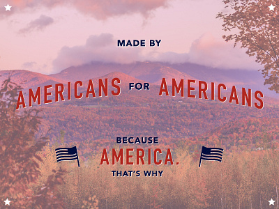 USA! USA! USA! america authentic patriot sportsman storefront typography vermont