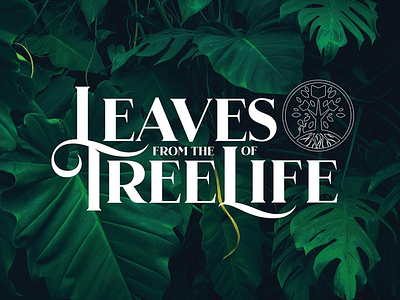 Leaves from The Tree of Life adobe illustrator after affects apparel logo brandidentity branding client connisour design illustration logo logo design logo package logodesign vector