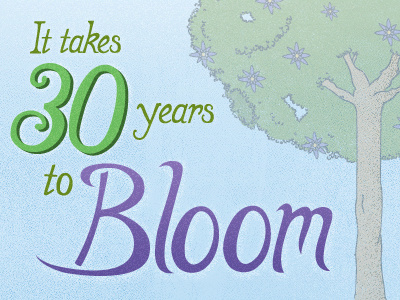 It Takes 30 Years drawing flowers illustration lettering type