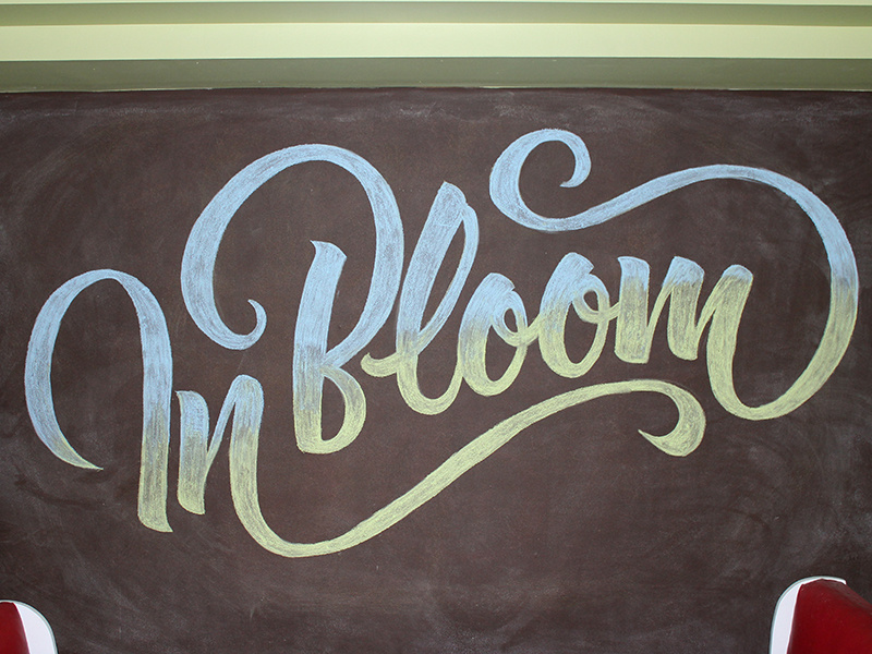 Inbloomdribbble